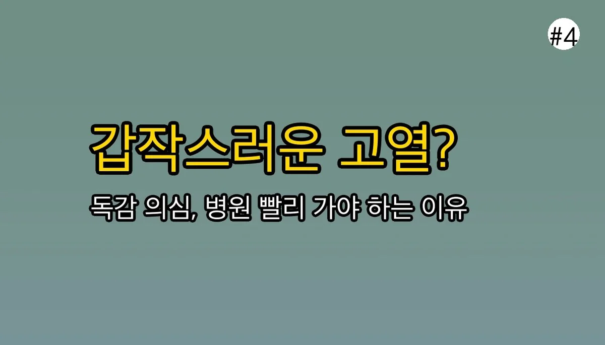 B형독감증상순서기침 관련 이미지: 🧐 증상이 의심된다면, 가장 중요한 것은?