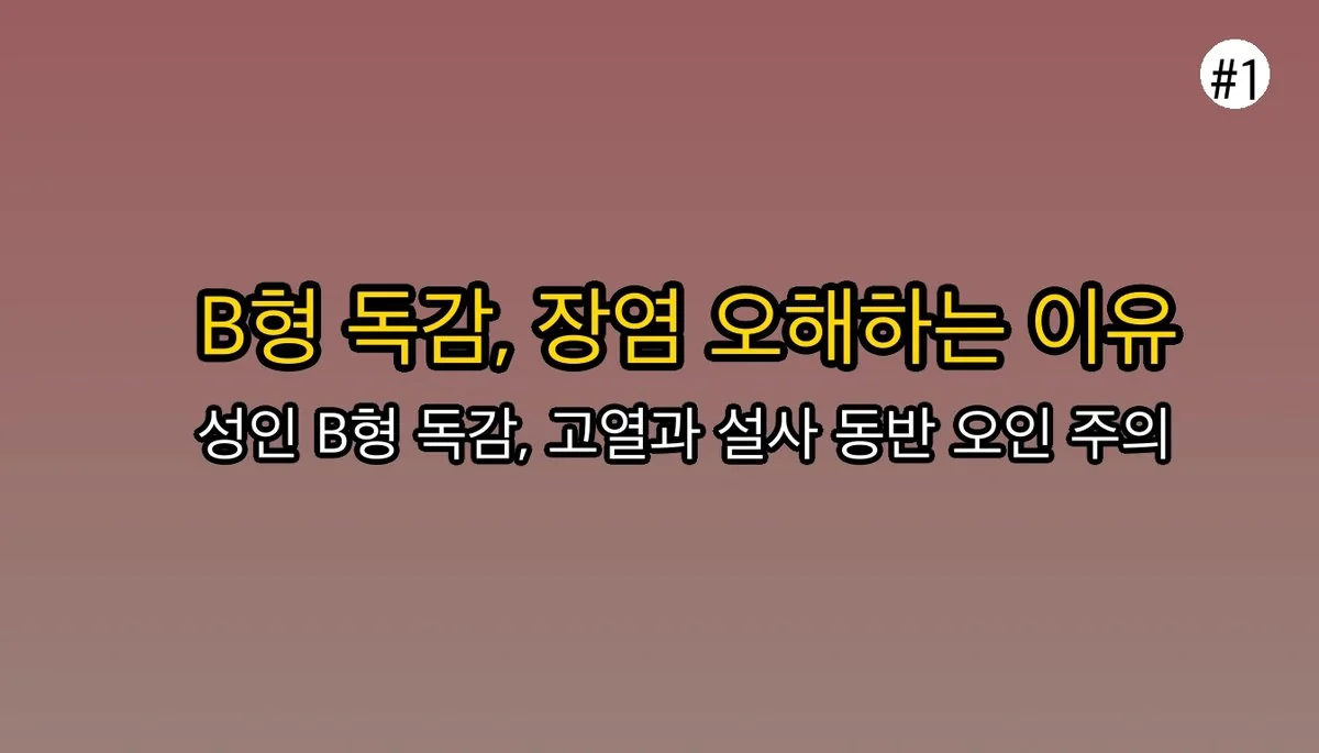 성인B형독감증상설사에 대한 전문 분석 2 성인B형독감증상설사 관련 이미지: B형 독감, 왜 장염으로 오해할까요?