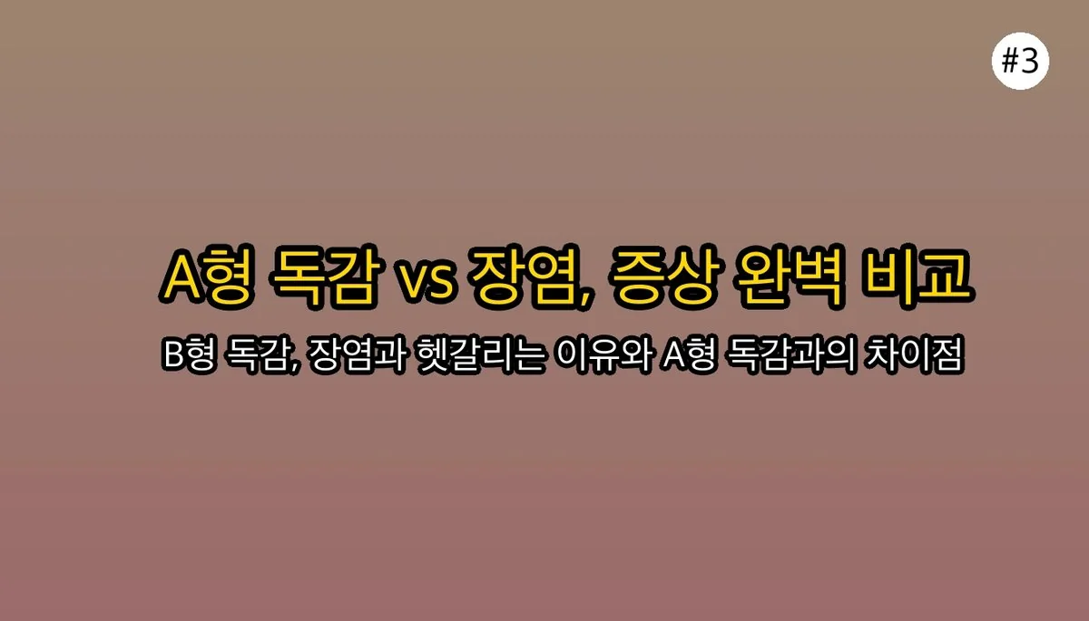 성인B형독감증상설사에 대한 전문 분석 4 성인B형독감증상설사 관련 이미지: 🤔 A형 독감, 장염이랑은 뭐가 다를까요?