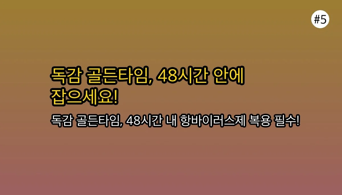성인B형독감증상설사에 대한 전문 분석 6 성인B형독감증상설사 관련 이미지: 💊 골든타임 놓치지 마세요! (치료와 대처법)