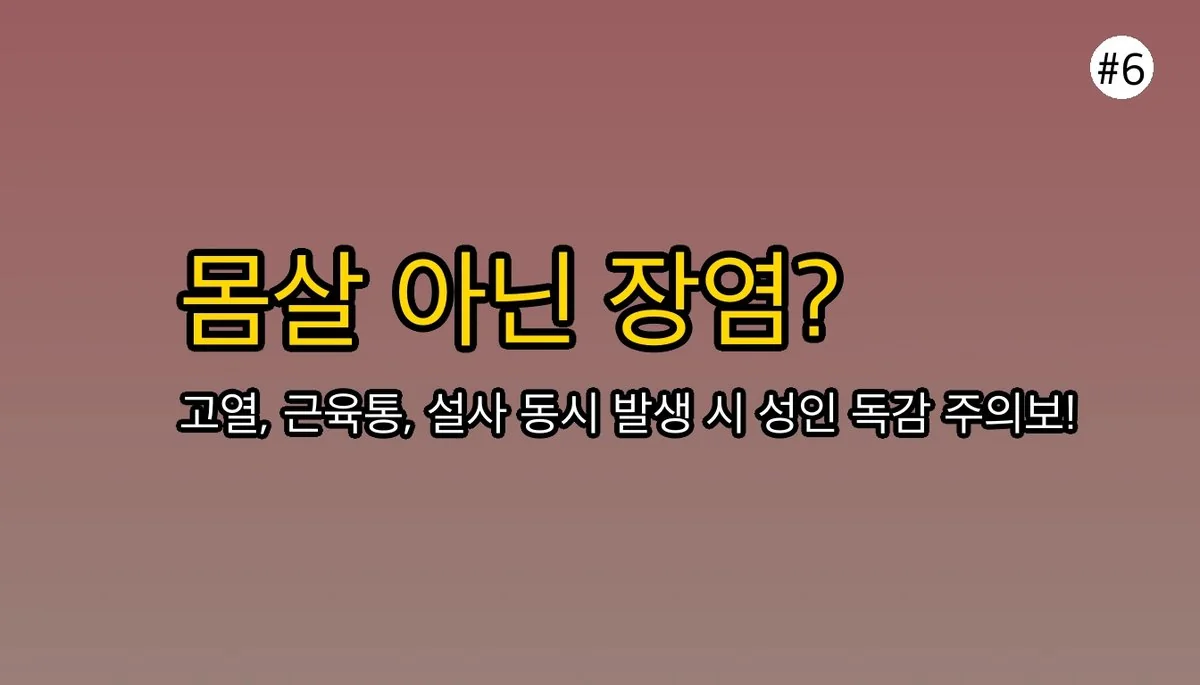 성인B형독감증상설사에 대한 전문 분석 7 성인B형독감증상설사 관련 이미지: 마무리하며: 단순 몸살, 장염으로 넘기지 마세요