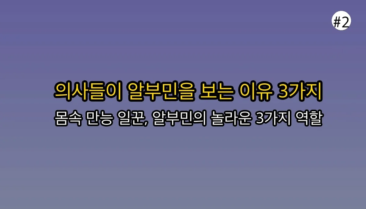 알부민 관련 이미지: 🤔 왜 의사들은 알부민 수치를 유심히 볼까요?