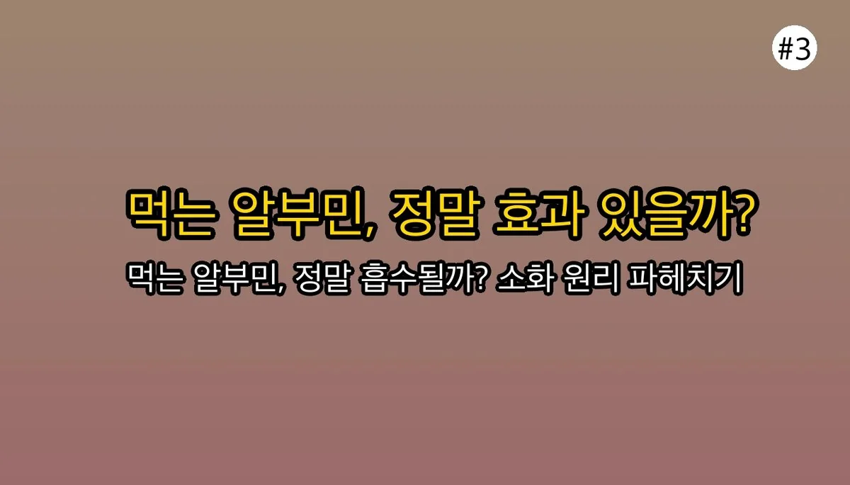 알부민효능 관련 이미지: 🚫 그런데... '먹는 알부민'은 효과가 없다고요?