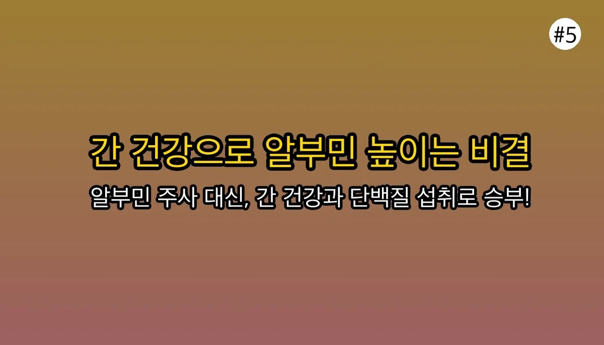 알부민효능 관련 이미지: 그럼 알부민은 어떻게 보충해야 할까요?