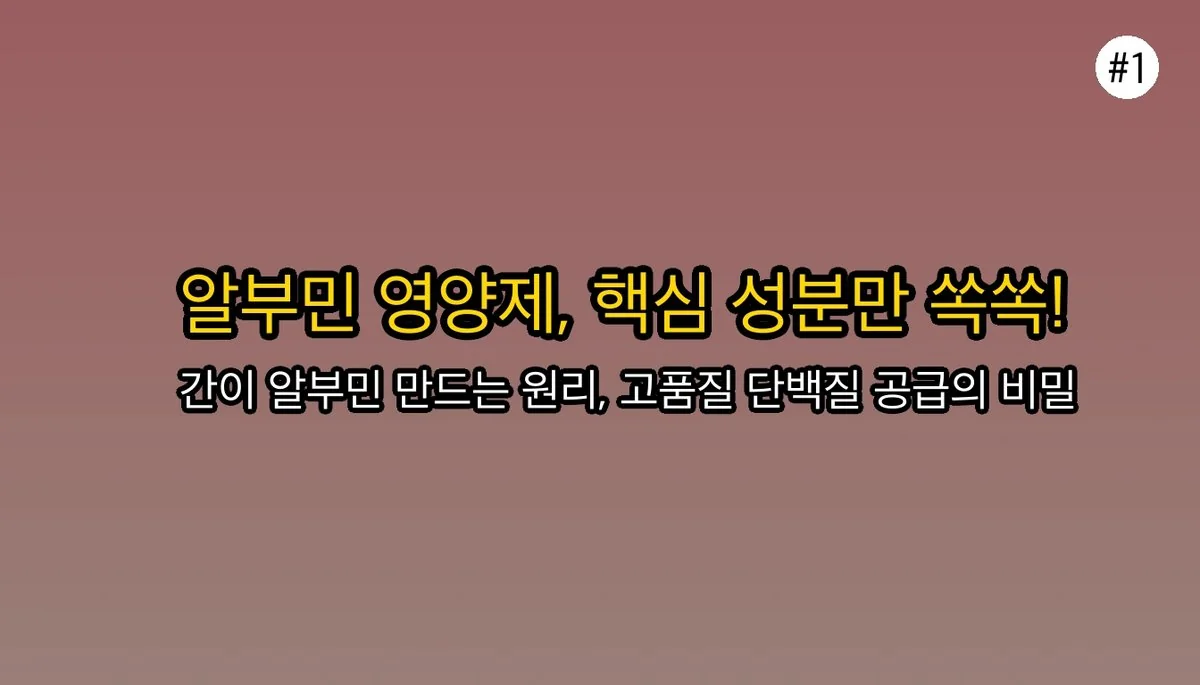 알부민영양제 관련 이미지: 알부민 영양제, 핵심만 딱 알려드릴게요