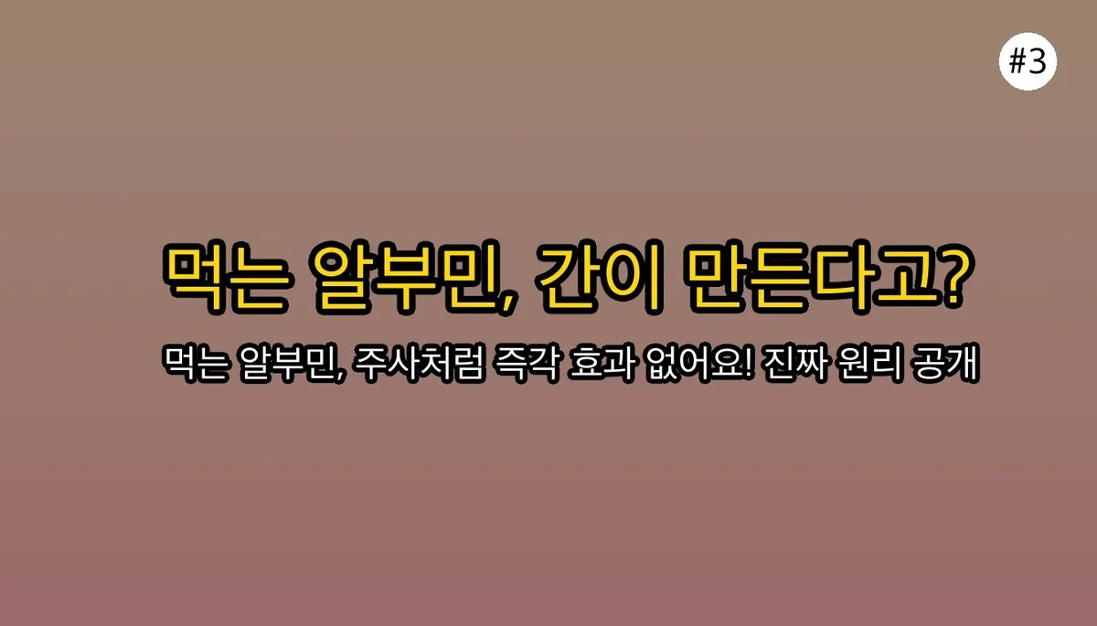 알부민영양제 관련 이미지: 🔥 알부민 영양제의 충격적인 진실: 직접 보충이 아니라고요?