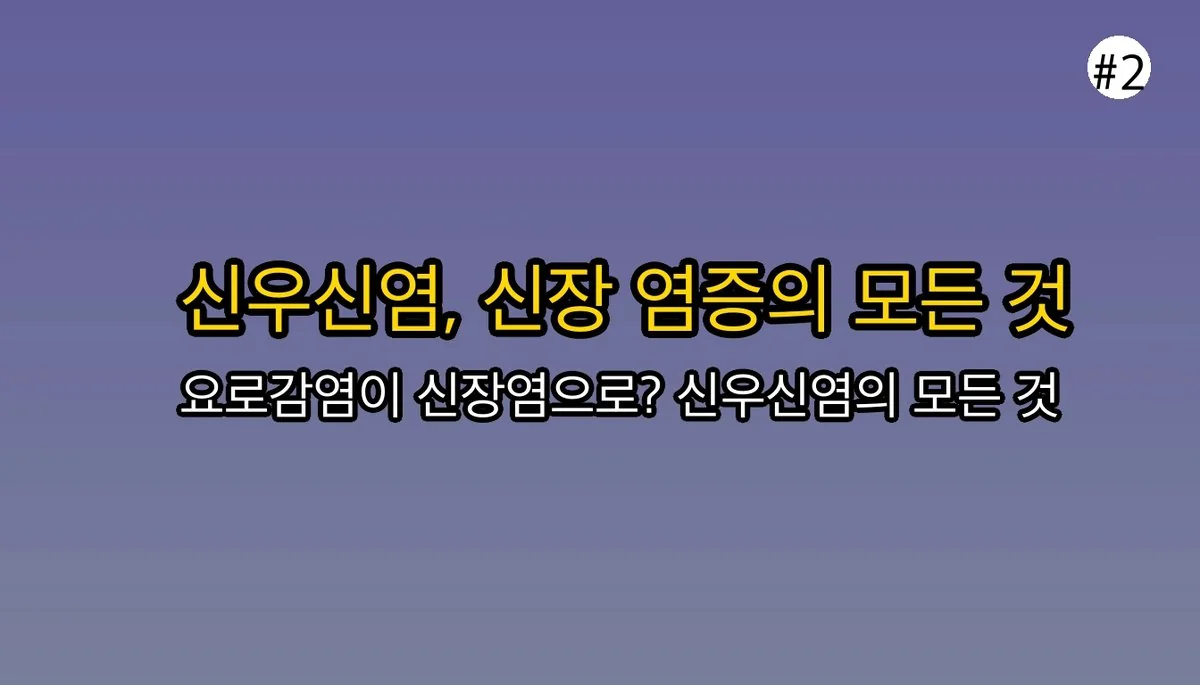 신우신염증상 관련 이미지: 신우신염이란 정확히 무엇일까요?