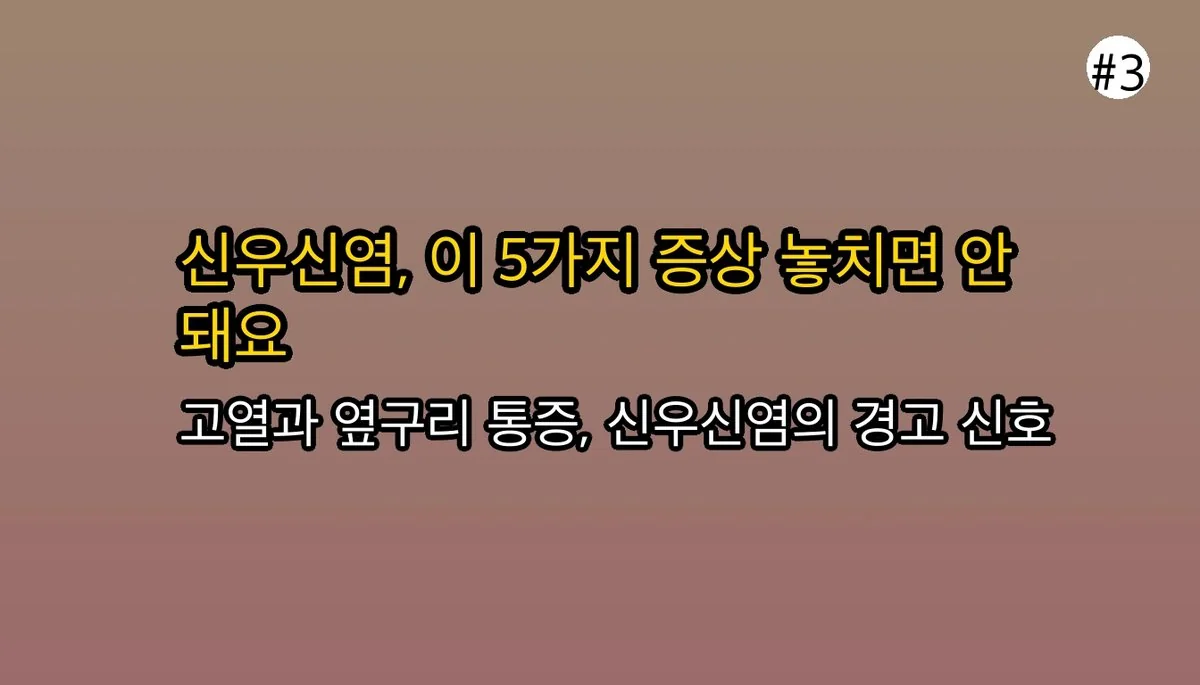 신우신염증상 관련 이미지: 🚨 절대 놓치지 말아야 할 대표적인 신우신염증상