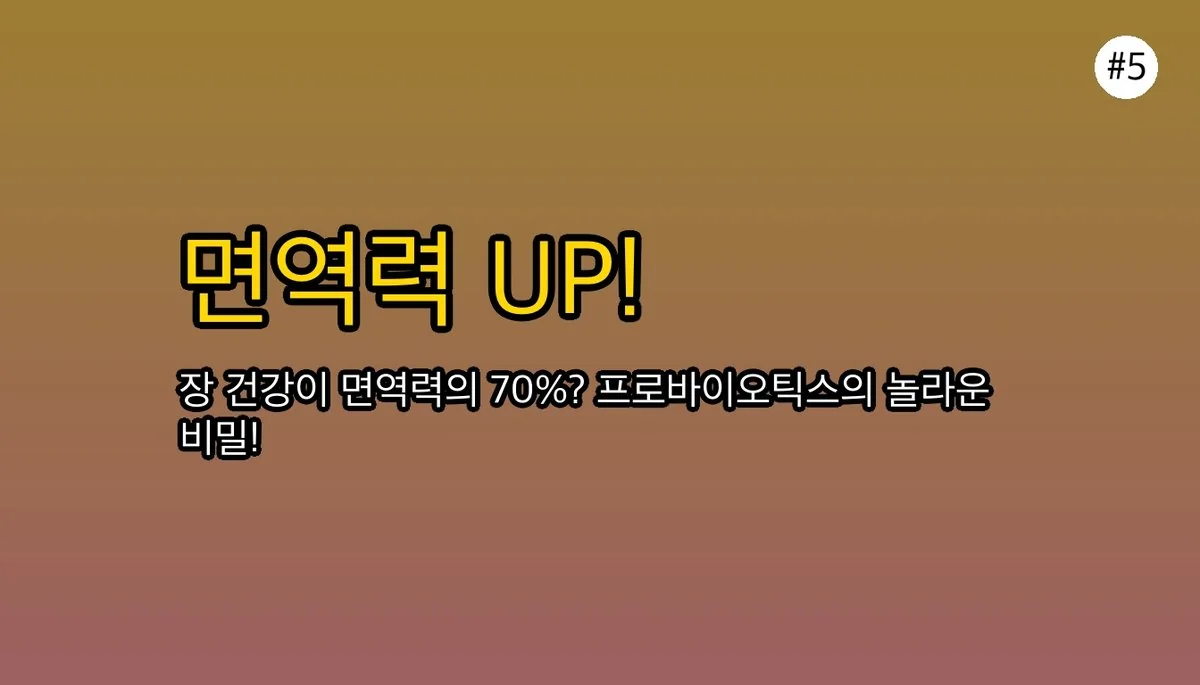 그릭요거트효능 관련 이미지: ❤ 면역력 강화의 숨은 조력자, 그릭요거트