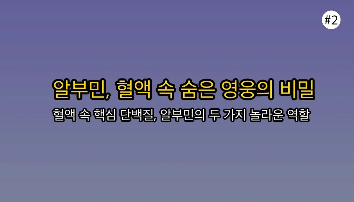 마시는알부민 관련 이미지: 알부민이란 무엇이며 왜 중요할까요?