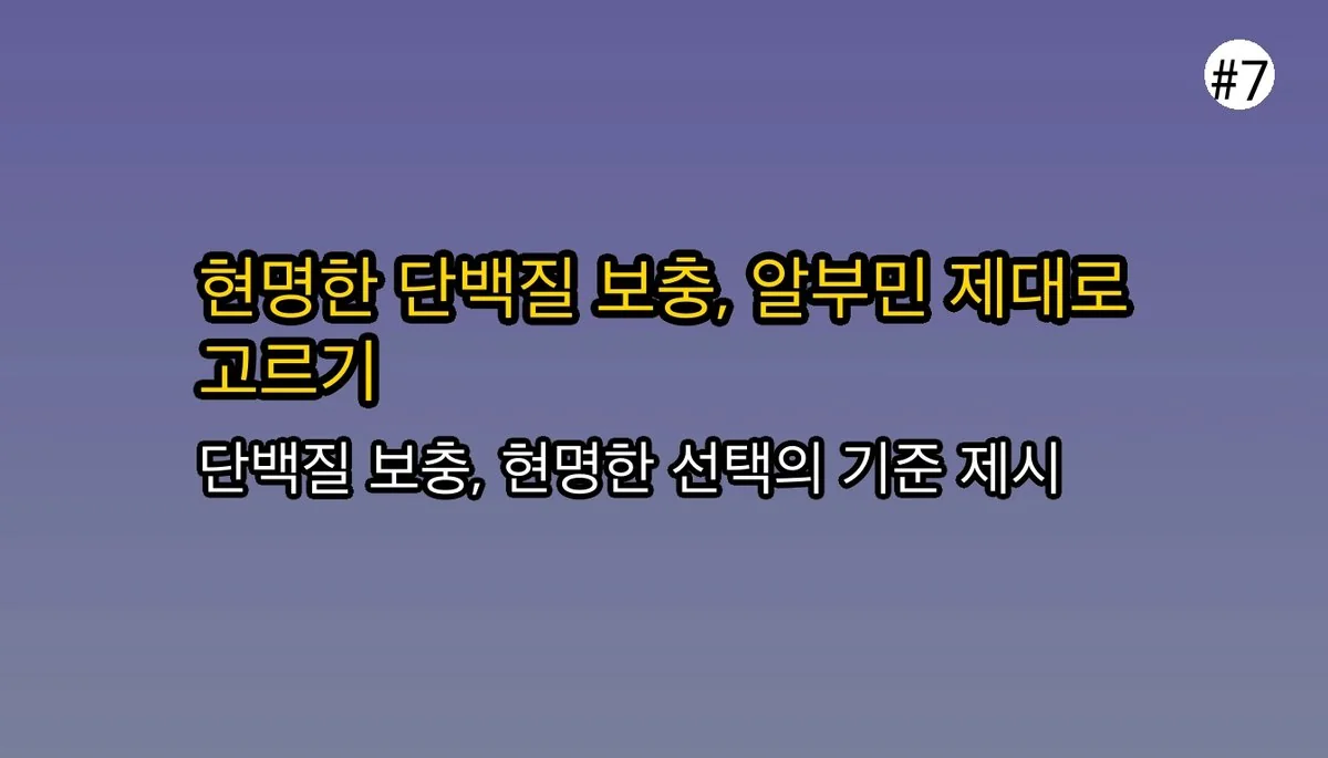 마시는알부민 관련 이미지: 결론: 현명한 단백질 보충을 위한 선택