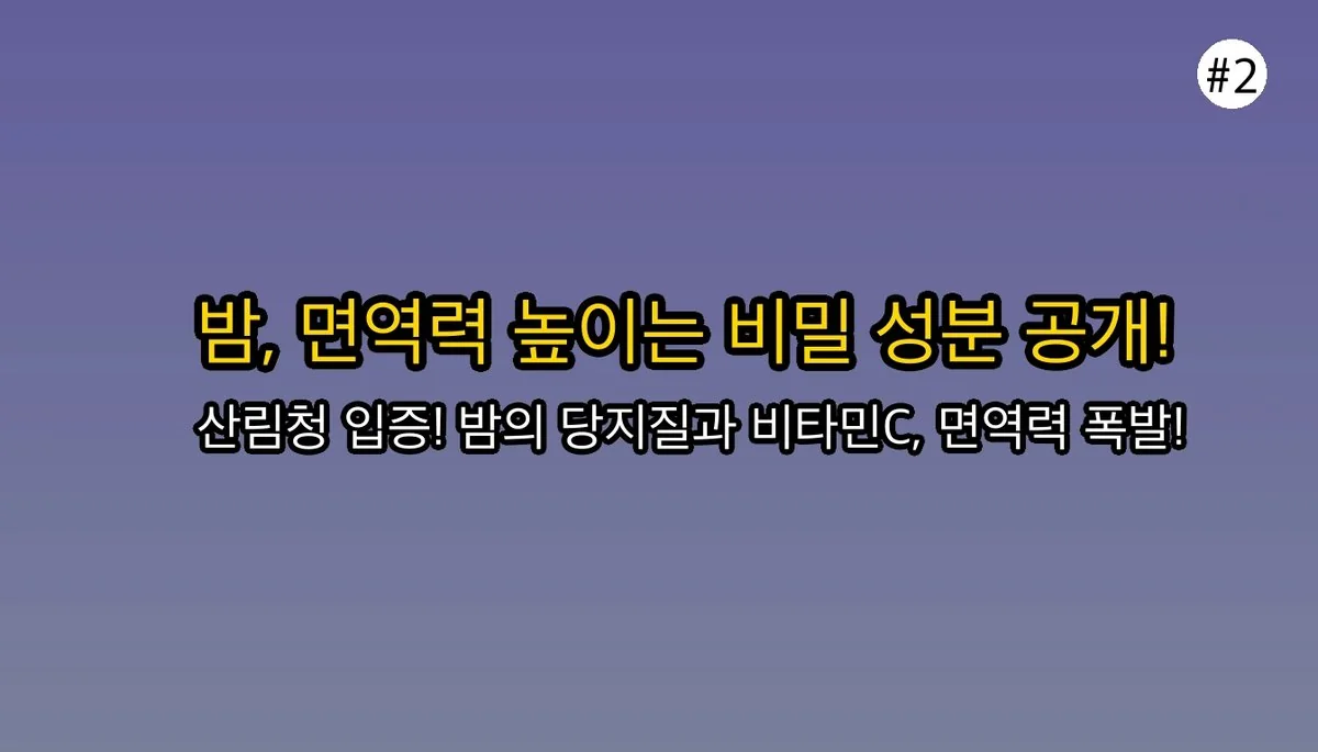 면역력부터 혈관 청소까지? 몰랐던 밤효능 5가지와 똑똑한 섭취법 3 밤효능 관련 이미지: 💪 면역력 금고? 산림청도 인정한 과학적 효과