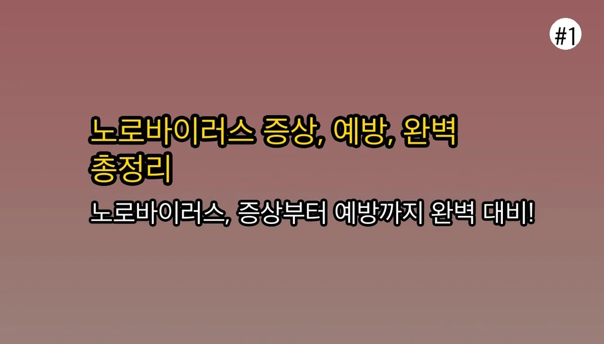 노로바이러스 증상 총정리: 잠복기부터 전염 기간, 치료 및 예방까지 한번에 관련 이미지: 노로바이러스: 증상부터 예방까지 완벽 파헤치기