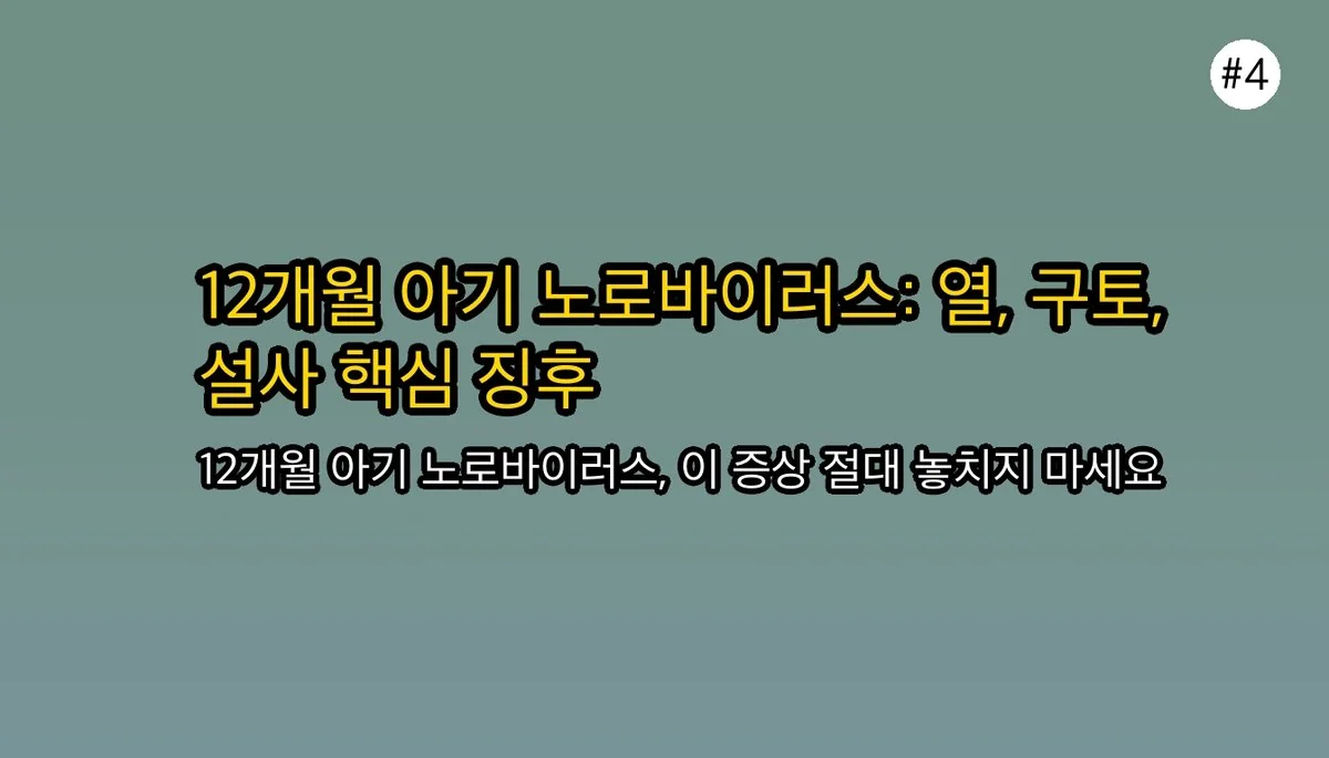 12개월 아기 노로바이러스 입원 경험담: 증상, 원인, 그리고 부모가 꼭 알아야 할 것 관련 이미지: 노로바이러스 증상: 12개월 아기에게 나타나는 핵심 징후