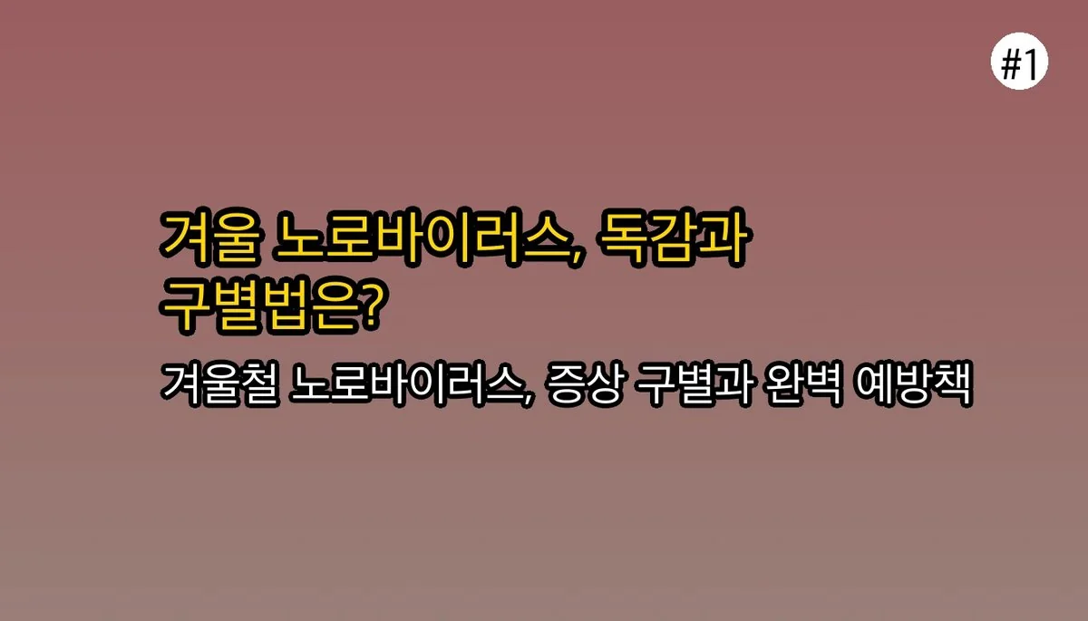 겨울철 식중독 주의보! 노로바이러스 증상과 A형 독감, 장염과 구별하는 방법 관련 이미지: 겨울철 식중독, 노로바이러스 제대로 알고 대처하기
