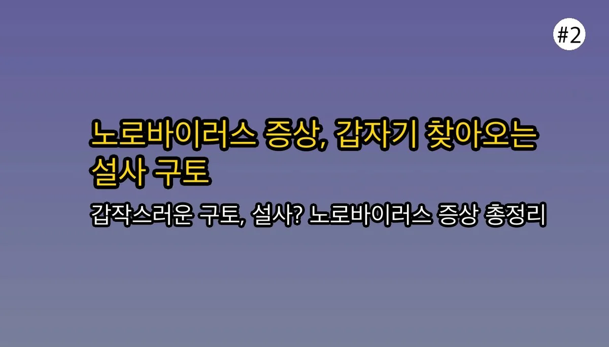 겨울철 식중독 주의보! 노로바이러스 증상과 A형 독감, 장염과 구별하는 방법 관련 이미지: 🤒 노로바이러스의 대표적인 증상