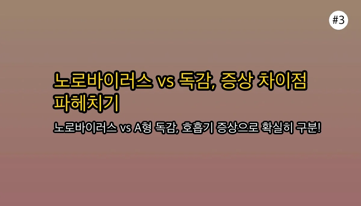 겨울철 식중독 주의보! 노로바이러스 증상과 A형 독감, 장염과 구별하는 방법 관련 이미지: 🤧 노로바이러스 vs. A형 독감: 증상 비교