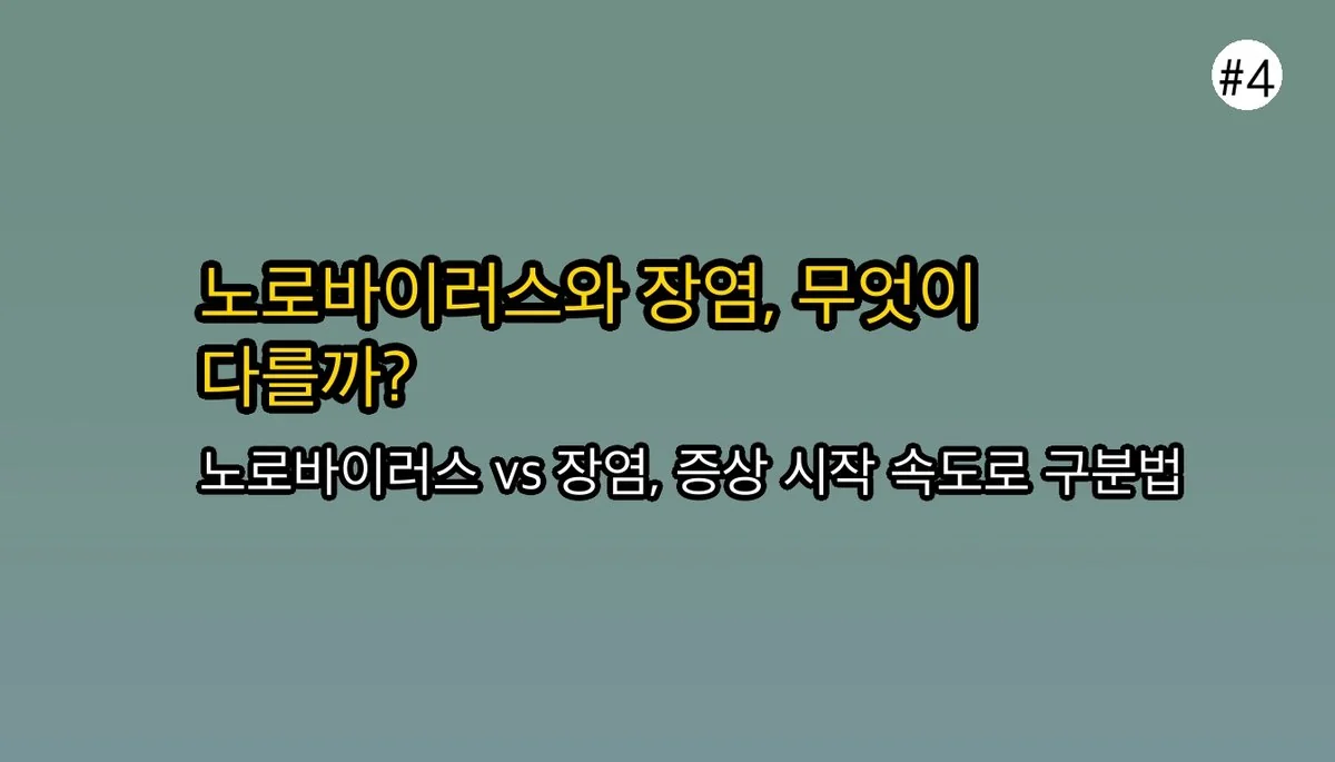 겨울철 식중독 주의보! 노로바이러스 증상과 A형 독감, 장염과 구별하는 방법 관련 이미지: 💧 노로바이러스 vs. 일반 장염: 차이점 알아보기