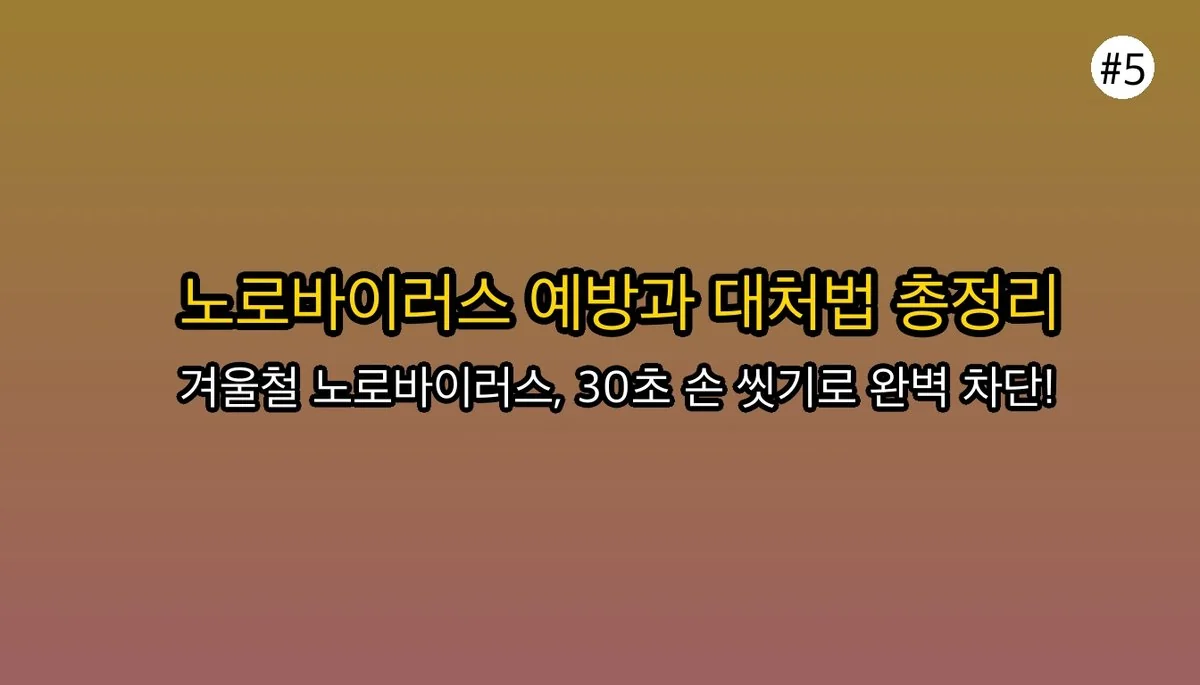 겨울철 식중독 주의보! 노로바이러스 증상과 A형 독감, 장염과 구별하는 방법 관련 이미지: 🛡 노로바이러스 예방 및 올바른 대처 방법