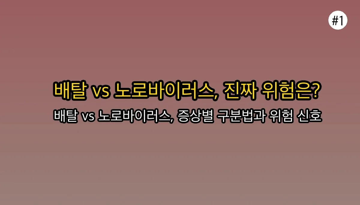 단순 배탈? 노로바이러스 증상으로 오해하기 쉬운 것들과 진짜 위험 신호 관련 이미지: 단순 배탈 vs 노로바이러스: 헷갈리기 쉬운 증상과 진짜 위험 신호