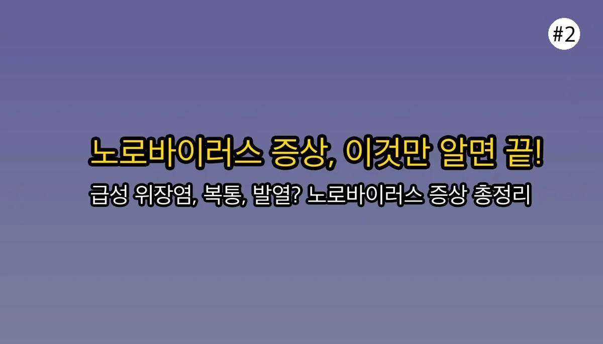 단순 배탈? 노로바이러스 증상으로 오해하기 쉬운 것들과 진짜 위험 신호 관련 이미지: 🦠 노로바이러스의 주요 증상