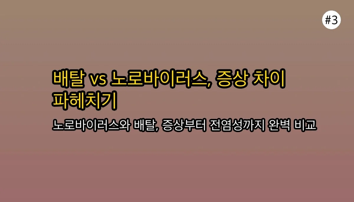 단순 배탈? 노로바이러스 증상으로 오해하기 쉬운 것들과 진짜 위험 신호 관련 이미지: 🤔 단순 배탈과 노로바이러스, 무엇이 다를까?