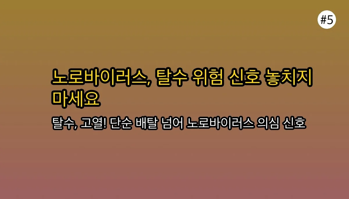 단순 배탈? 노로바이러스 증상으로 오해하기 쉬운 것들과 진짜 위험 신호 관련 이미지: 🚨 노로바이러스의 진짜 위험 신호