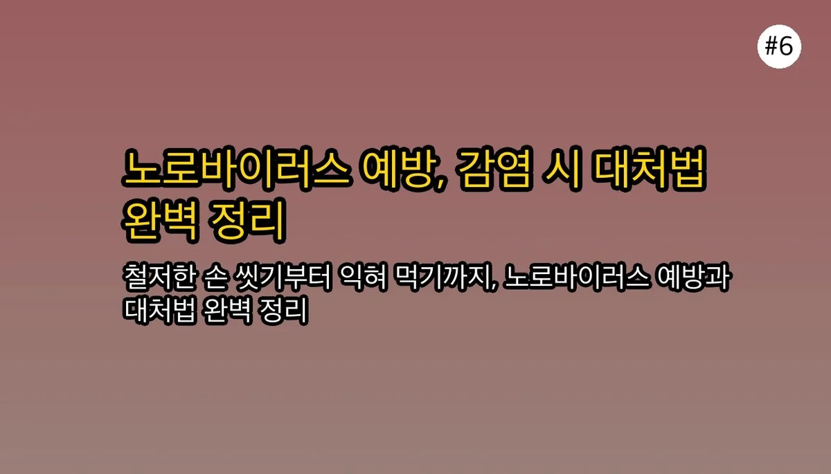 단순 배탈? 노로바이러스 증상으로 오해하기 쉬운 것들과 진짜 위험 신호 관련 이미지: 🛡 노로바이러스 예방과 대처법
