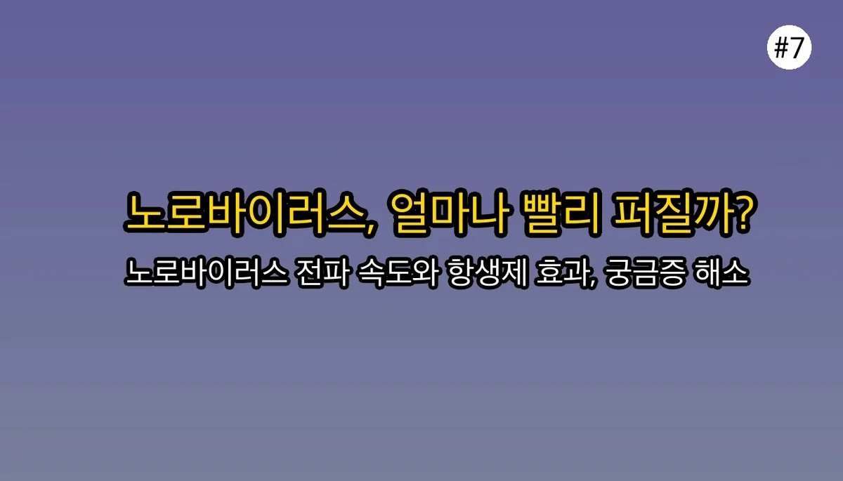 단순 배탈? 노로바이러스 증상으로 오해하기 쉬운 것들과 진짜 위험 신호 관련 이미지: 자주 묻는 질문 (FAQ)