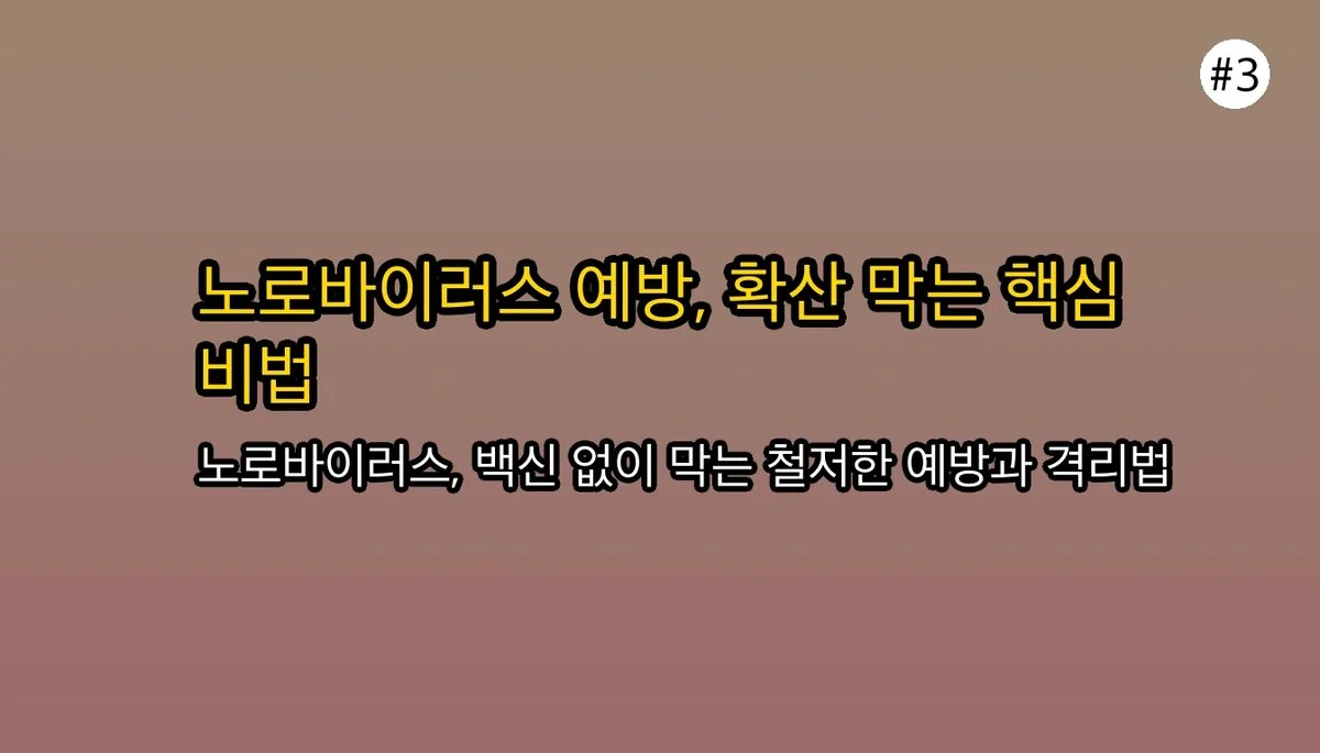 노로바이러스 전염 경로 파헤치기: 언제부터 옮기나요? 잠복기부터 격리까지 관련 이미지: 🛡 노로바이러스 예방과 격리: 감염 확산 방지 전략