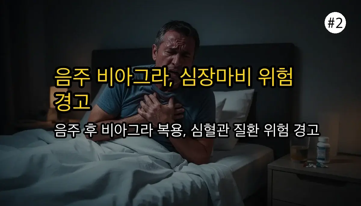 음주후 비아그라 관련 이미지: 음주 후 비아그라 복용 시 나타날 수 있는 치명적인 부작용과 고위험군