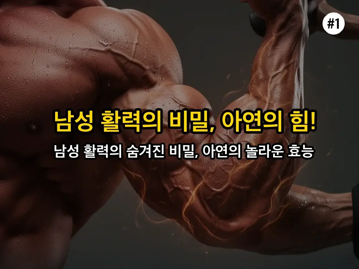 활력&확장지속 아연 정력 관련 이미지: 왜 아연이 남성 활력과 정력에 중요할까요?