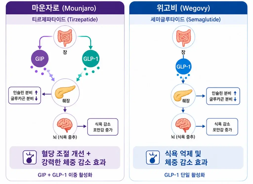 마운자로 위고비 진짜 효과 비교: 2026 직장인이 겪은 7일 만에 -3kg 감량의 현실 5 아무도 말 안 해준 마운자로 위고비 진짜 효과, 2030 직장인 7일 만에 -3kg 후기 관련 이미지: 아무도 말해주지 않는 진짜 부작용과 컨디션 저하