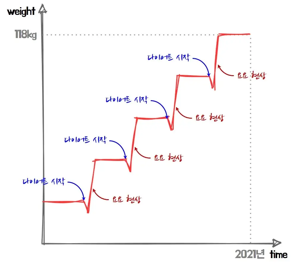 마운자로 위고비 진짜 효과 비교: 2026 직장인이 겪은 7일 만에 -3kg 감량의 현실 7 아무도 말 안 해준 마운자로 위고비 진짜 효과, 2030 직장인 7일 만에 -3kg 후기 관련 이미지: 마치며