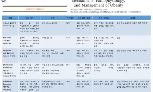 다이어트 약 비교 관련 이미지: 도입