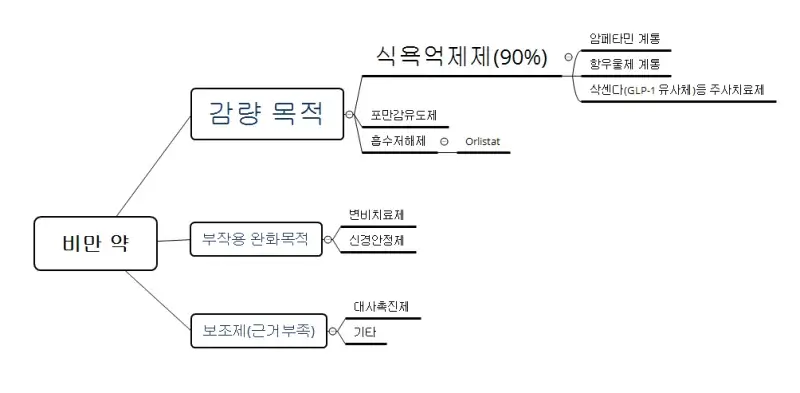 다이어트 약 비교 관련 이미지: 안전한 투약을 위해 반드시 확인할 주의사항