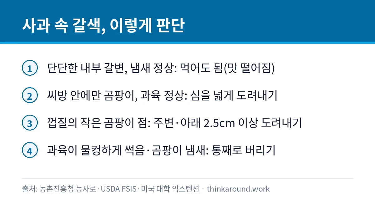사과 속이 갈색이면 먹어도 될까: 심 곰팡이와 파툴린 구별 3 사과 속 갈변과 곰팡이 상태별로 먹어도 되는 경우와 버릴 경우를 정리한 인포그래픽