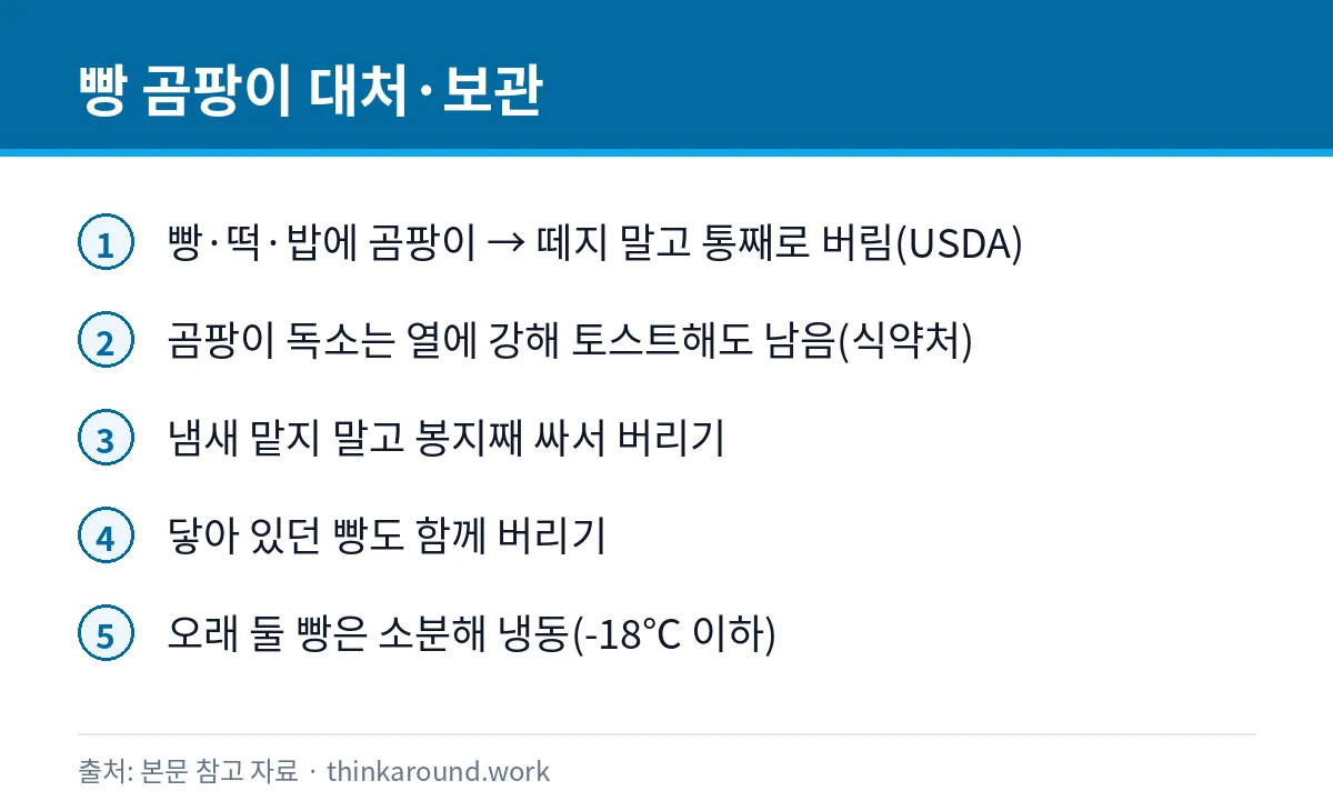 식빵 곰팡이 일부만 떼고 먹어도 될까: 빵 보관 냉장·냉동 2 곰팡이 핀 빵 대처법과 보관 방법을 정리한 카드