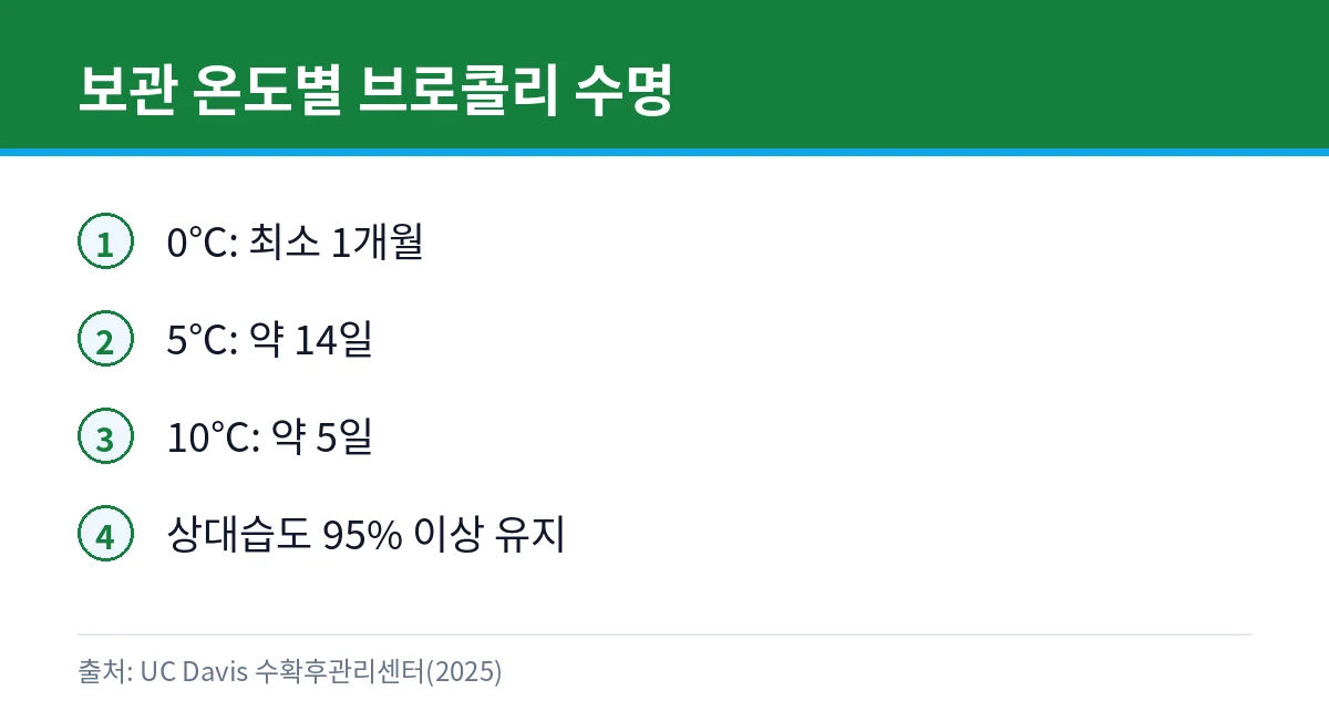 브로콜리 노랗게 변하면 먹어도 될까: 보관 온도·세척 2 브로콜리 보관 온도별 수명 카드