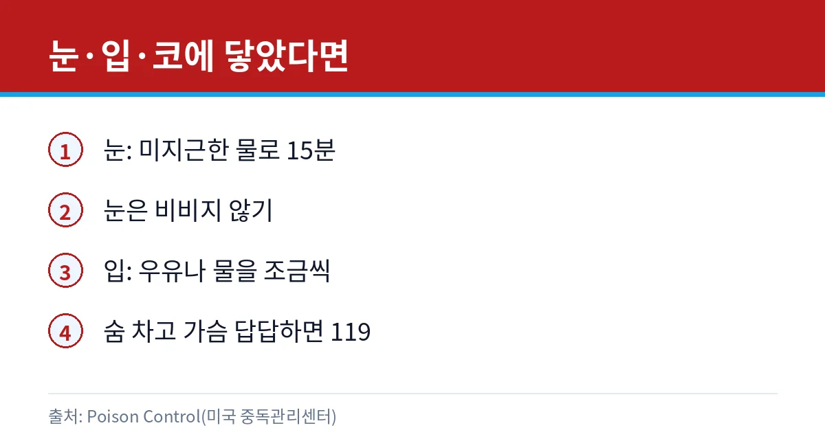 캡사이신이 눈·입·코에 닿았을 때 대처 카드