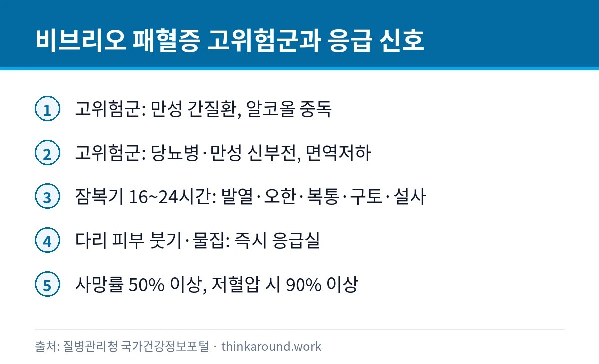 꼬막 덜 익혀 먹어도 될까: 비브리오와 삶는 시간 6 비브리오 패혈증 고위험군과 응급 증상을 정리한 카드