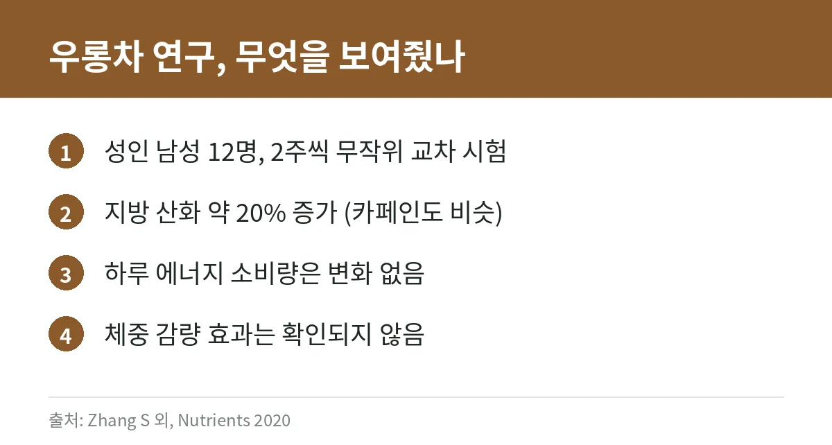 우롱차 지방 산화 연구 결과를 요약한 카드