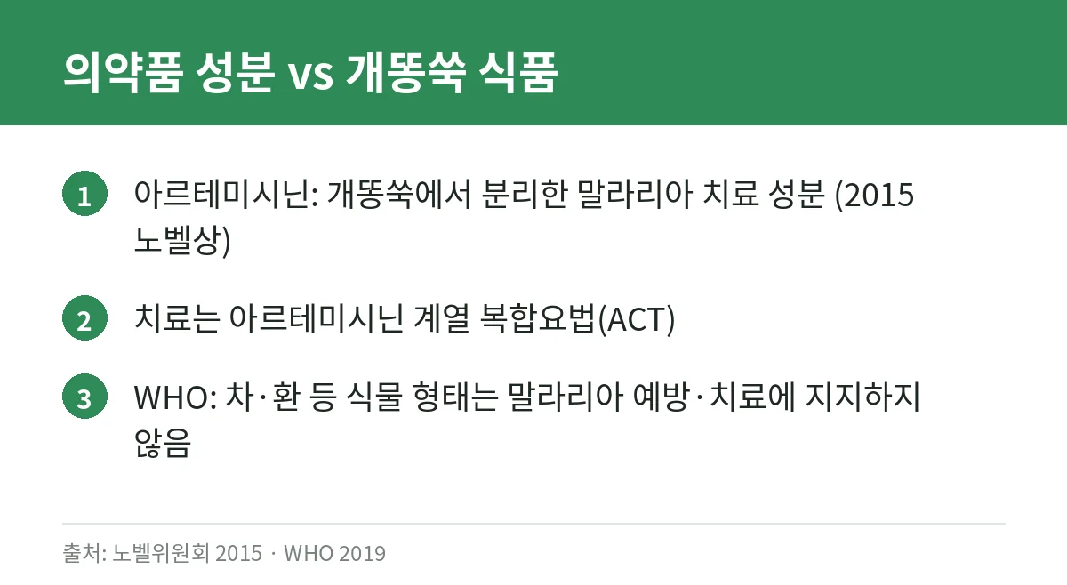 개똥쑥 효능, 근거로 확인하기: 아르테미시닌과 개똥쑥 차의 차이, 항암·천연 항생제 주장 점검 2 아르테미시닌 의약품과 개똥쑥 식품의 차이를 정리한 카드