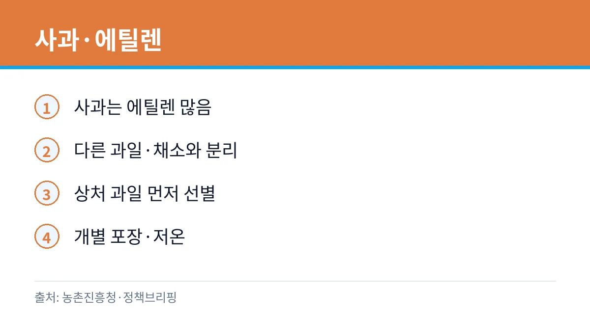 단감과 사과 분리 카드