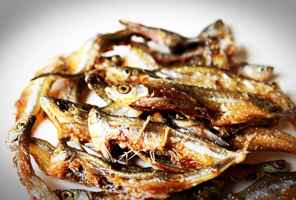 누런빛이 도는 마른 멸치 더미 근접 사진