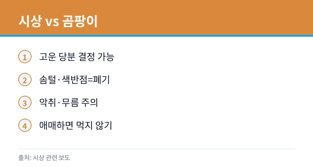 곶감 하얀 가루: 시상인가 곰팡이인가 2 곶감 시상 구별 카드