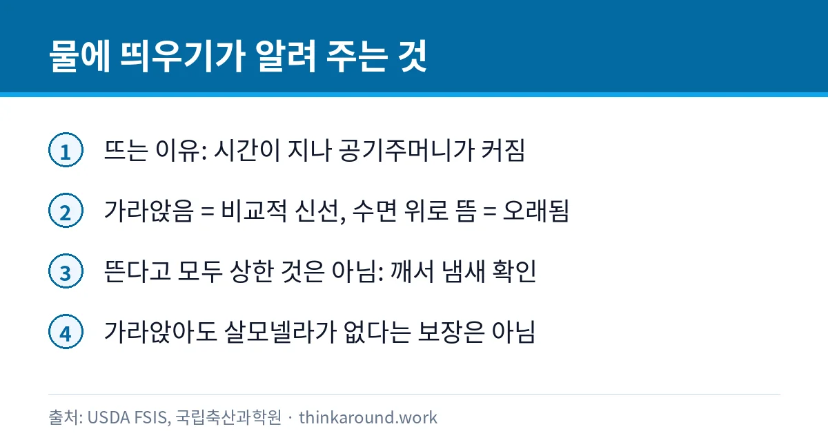 계란 물에 띄우기 판별의 의미와 한계를 정리한 카드
