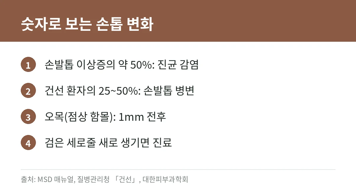 손톱 세로줄, 정상일까? 원인과 진료가 필요한 세로줄 구별법 3 손톱 이상의 원인 비율과 건선 관련 손톱 변화를 정리한 카드