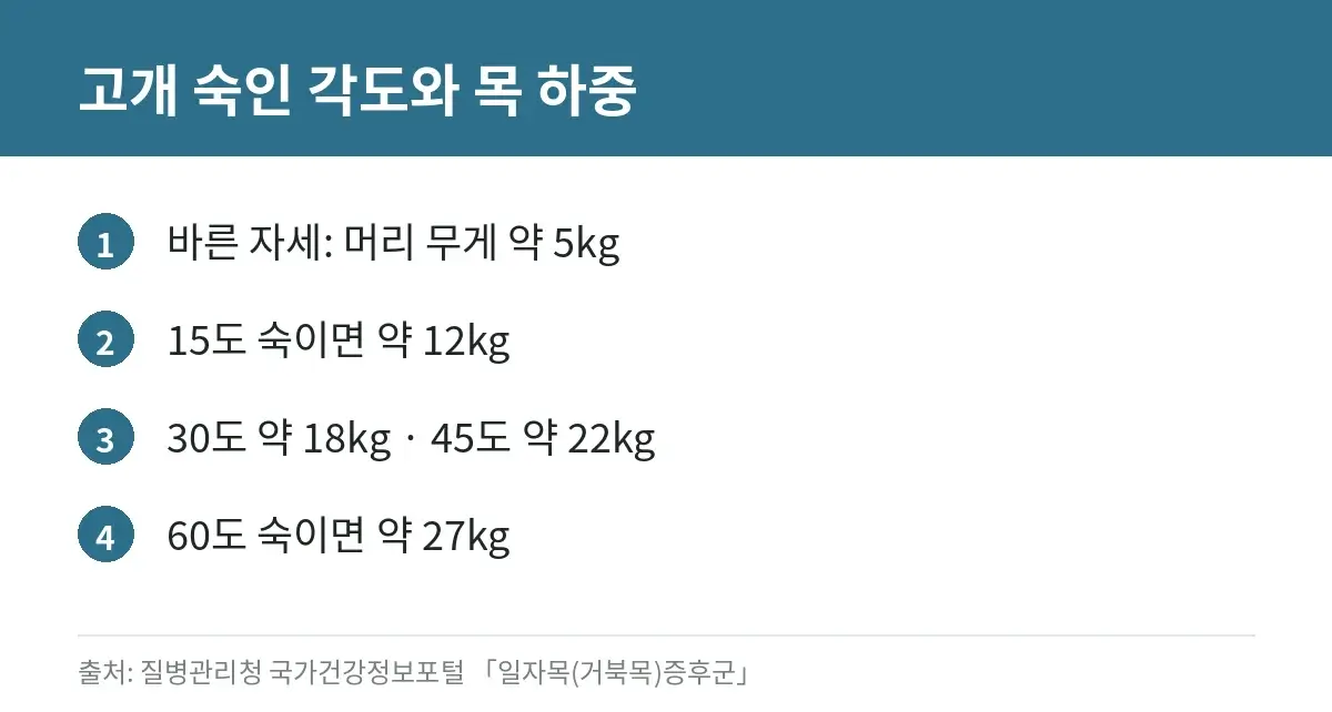 승모근 뭉침 원인과 푸는 법: 거북목 자세·운동 연구·진료가 필요한 신호 2 고개를 숙이는 각도에 따라 목에 걸리는 하중이 늘어나는 것을 정리한 카드