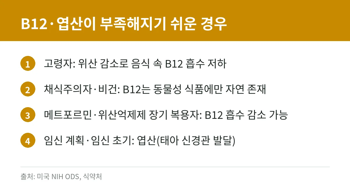 비타민B12와 엽산이 부족해지기 쉬운 대상 카드